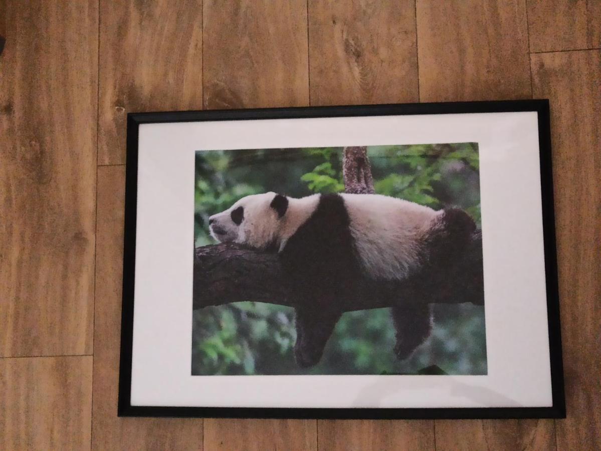 A 4 Min Du Zoo De Beauval La Maison A Partager Ch2 1Er Etage サン・テニャン エクステリア 写真